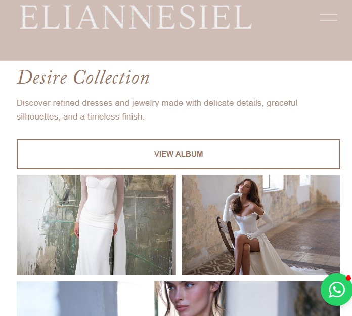eliannesiel project preview